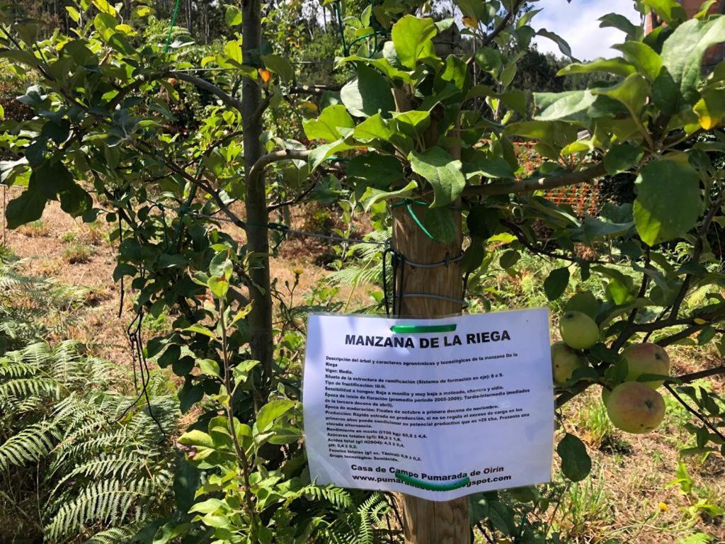 Casa De Campo Pumarada De Oirin Foz Εξωτερικό φωτογραφία