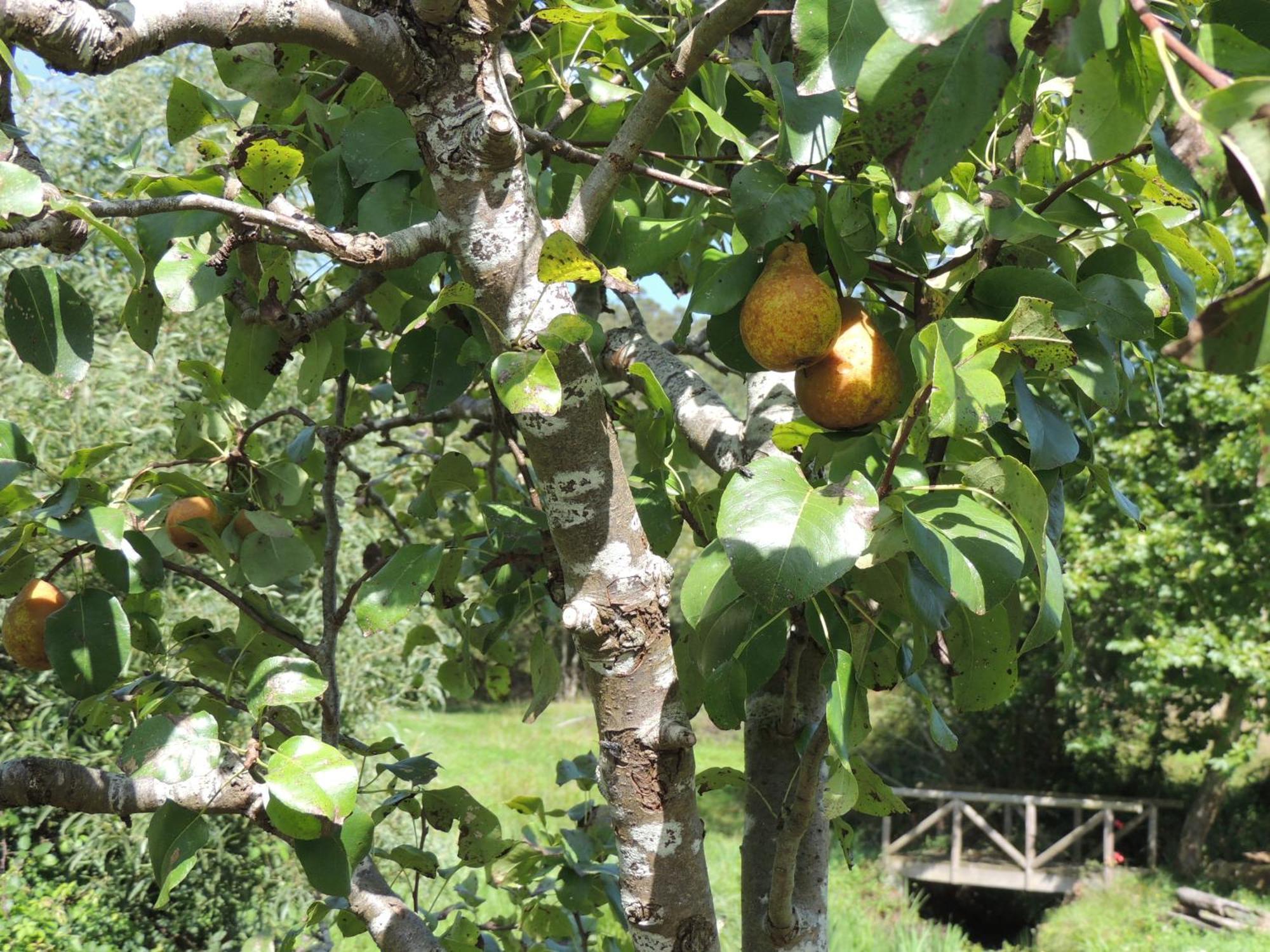 Casa De Campo Pumarada De Oirin Foz Εξωτερικό φωτογραφία