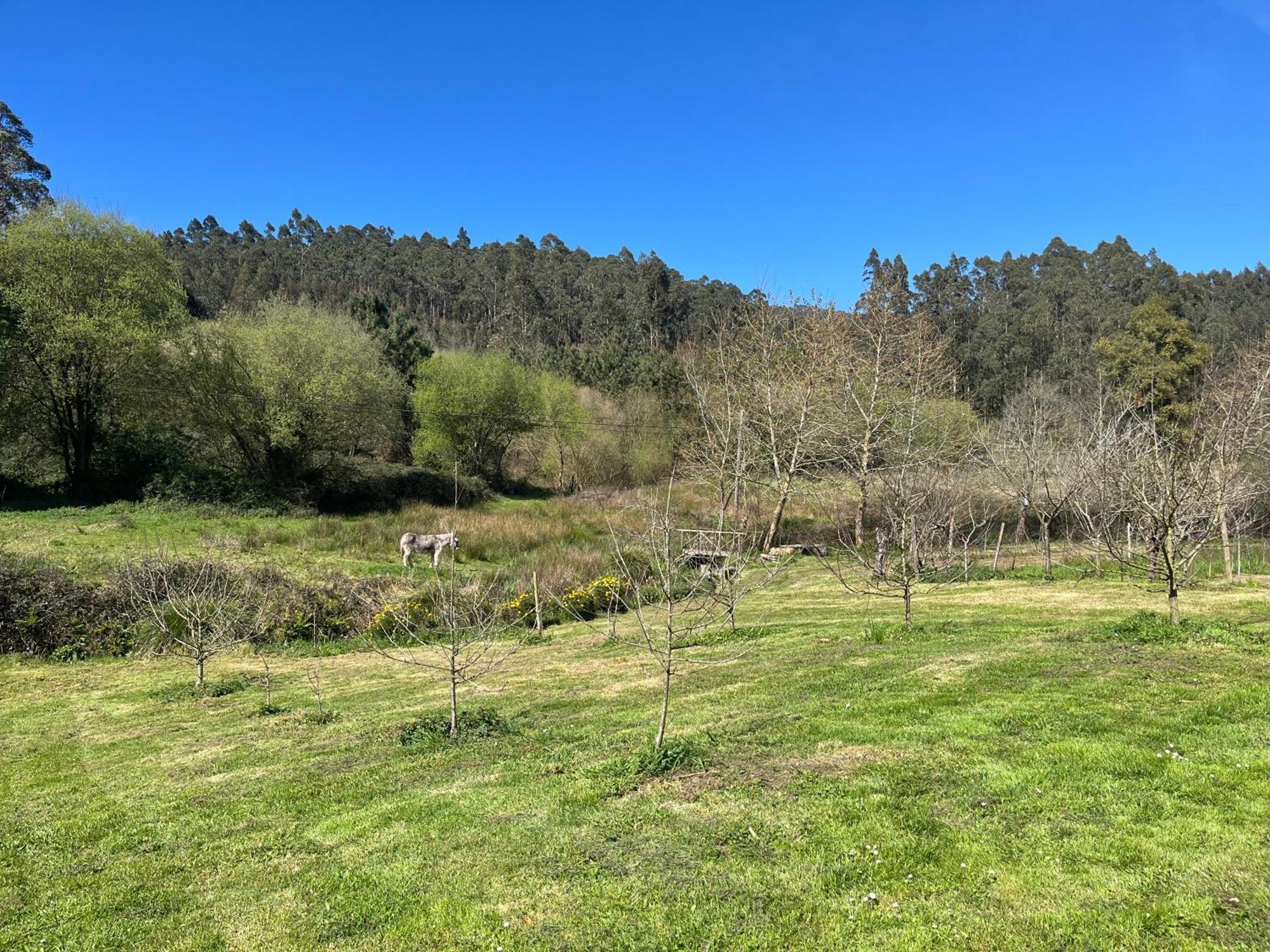Casa De Campo Pumarada De Oirin Foz Εξωτερικό φωτογραφία